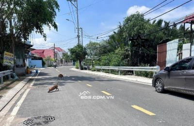 [XN41 - QUỸ ĐẤT CHIẾN LƯỢC] MẶT TIỀN TỈNH LỘ 15 CỦ CHI – 1.800m2 (25m x 72m)